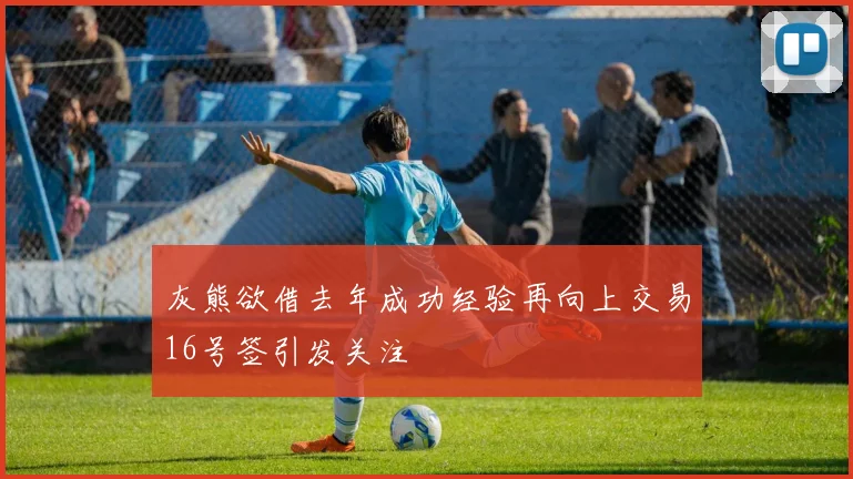灰熊欲借去年成功经验再向上交易16号签引发关注