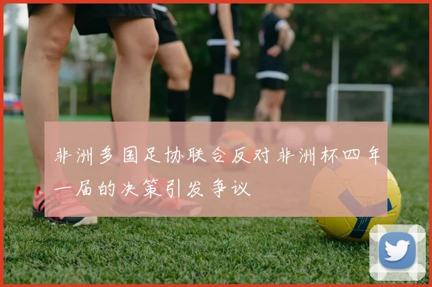 非洲多国足协联合反对非洲杯四年一届的决策引发争议