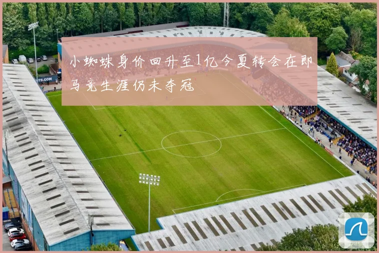 小蜘蛛身价回升至1亿今夏转会在即马竞生涯仍未夺冠